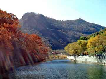 新澳天天开奖资料大全旅游团，正己酸